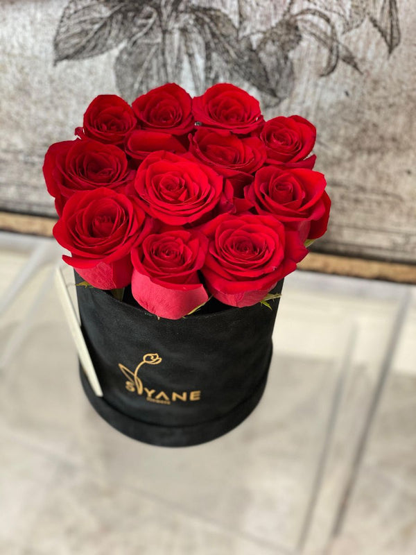 Siyah Tay Tüyü Kutu – 10 Adet Premium Kırmızı Gül